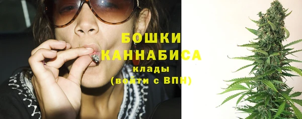 ПСИЛОЦИБИНОВЫЕ ГРИБЫ Белоозёрский