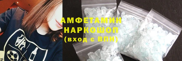 сатива Беломорск