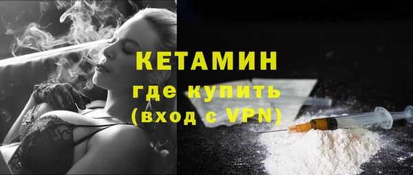 сатива Беломорск