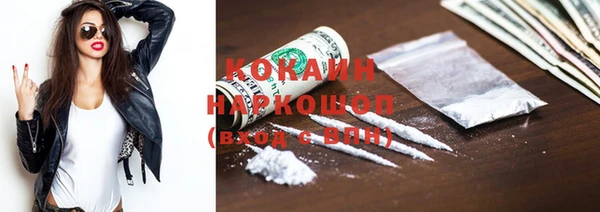 трава Белокуриха