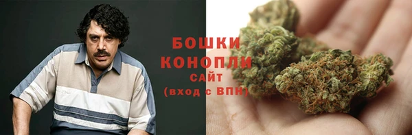 трава Белокуриха