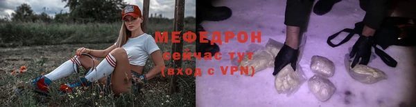 сатива Беломорск