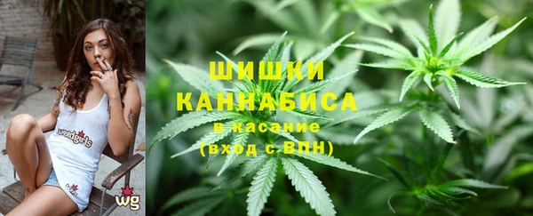 трава Белокуриха