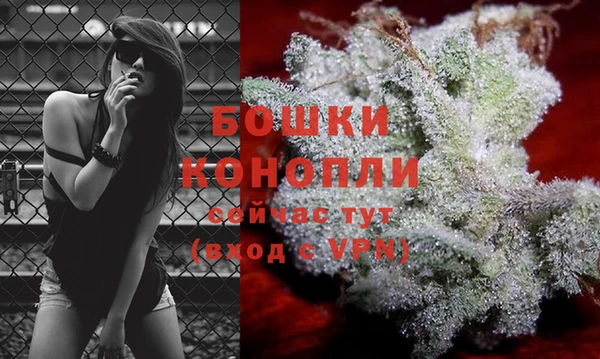 ПСИЛОЦИБИНОВЫЕ ГРИБЫ Белоозёрский
