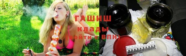 трава Белокуриха