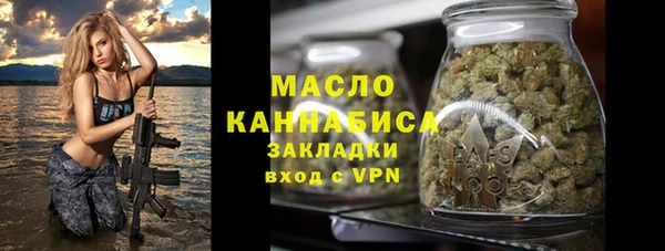 сатива Беломорск