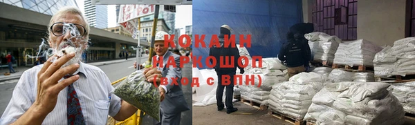 сатива Беломорск