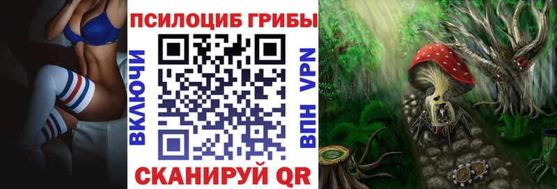 Псилоцибиновые грибы Psilocybe  дарк нет формула  Верхотурье 